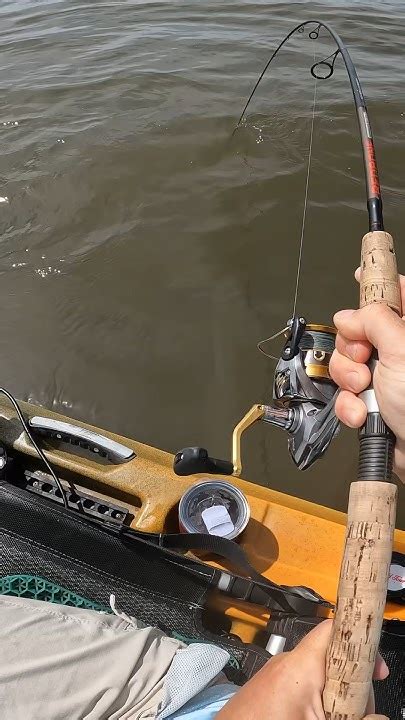Mid Summer Striper Fishing NJ .